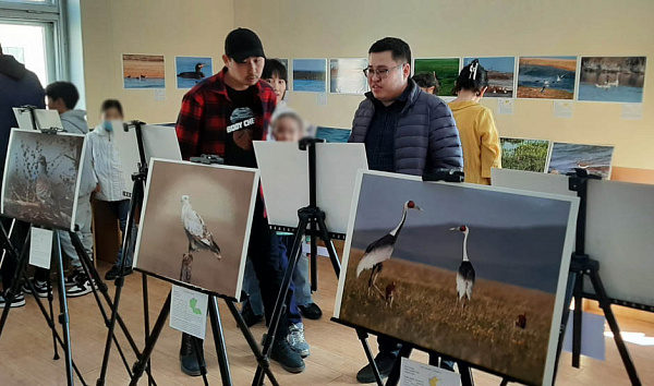 Жителям Монголии и Забайкалья покажут птиц Даурии