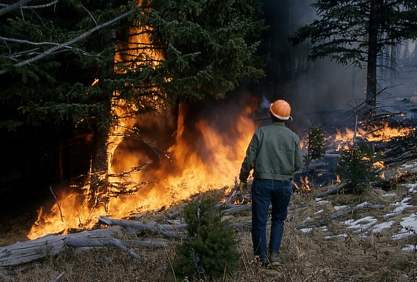 �������: ������ � ������� ��� �� ��������