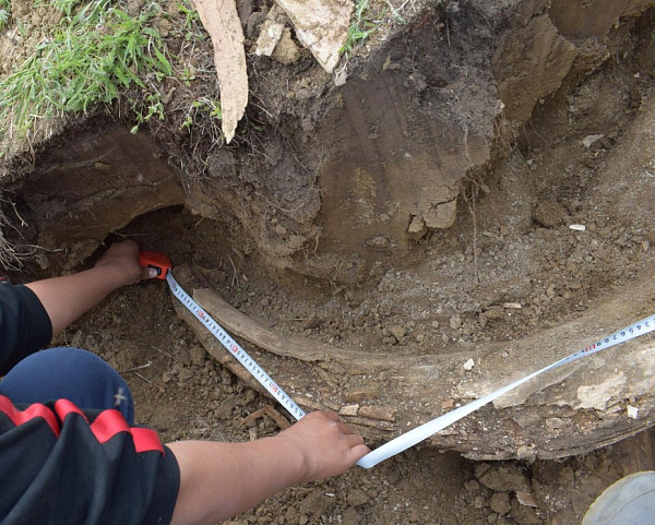 ������ ������ �������� �� ������� ����� ������� ��������� 400 ����� ���