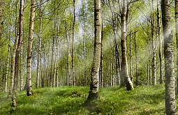 � ������� �������������� ����� ������������� �������