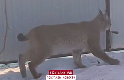 � ������� ���� ���������� � ������