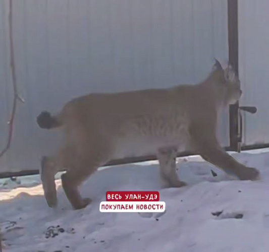 � ������� ���� ���������� � ������