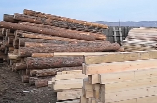 В Забайкалье бизнесвумен осудили за контрабанду леса на 13 млн 