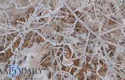 ����-��� �� ����� ������ ����� ���������� ������