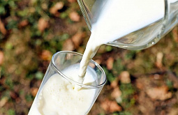 � ������� � �������� ��������� ����� ����������� � ������������ ����