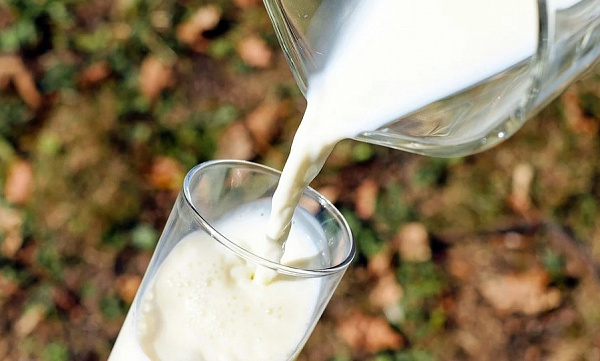 В Бурятии в молочной продукции нашли антибиотики и растительные жиры