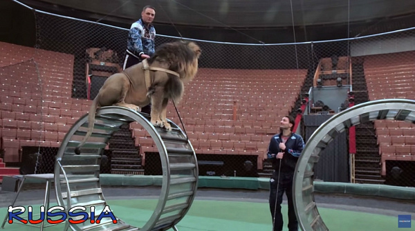 ��������� ������� ����� ������ ����� ����� � ��������� ����� �������� 