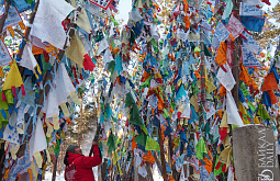 �������� ������� ��������� ������ ����� (������������) 