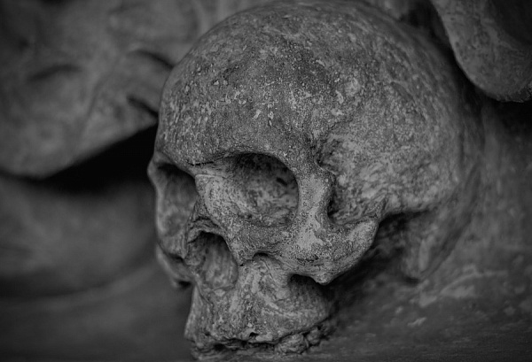 � ����-�������� ���� ����� ������������ ������� 