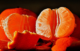 ������ ������� ��������� ��� ��������� ����������