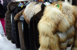 ������� ��������� ��������� ������ 