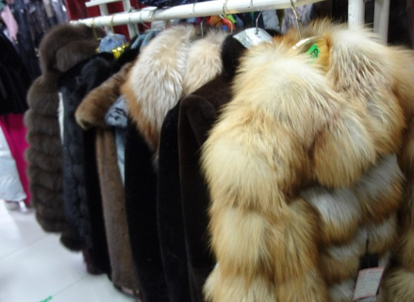 ������� ��������� ��������� ������ 