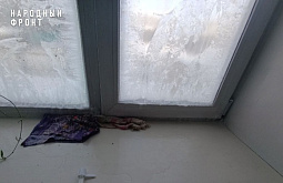 ����� ����� � ��������� � ���� ������� ��������� ��������� �����