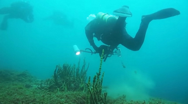 ������ ��������� �������� ������ ������ �� ��� ������� ����������� ������� (�����)