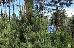 � ������� ��������������� ����������� �������� ���� �� ������� 120 ����� ��