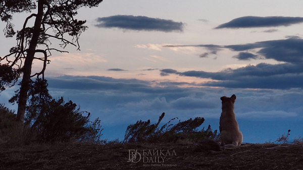 ������� ������� ������ ������ ������ ��� �������� ������� 