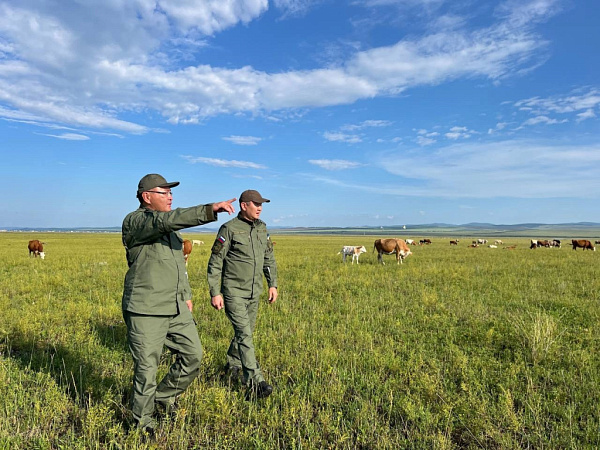 � ������� ��������� ��������� �������������� ����������� 