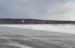 � ���������� �������������� ������ ���� � ������� �� ������� ����