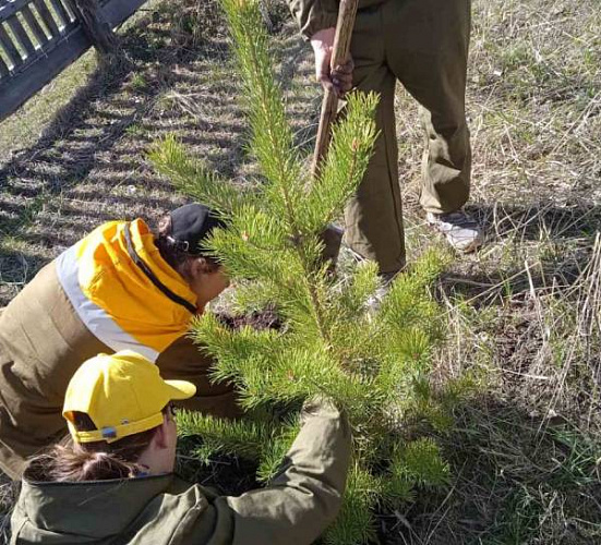 � ������� ���� �������� ������ ������