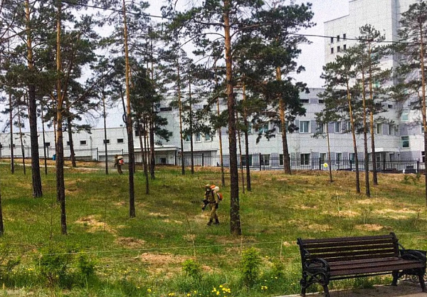 � ����-��� ������ � ������ � �������� �������������� 