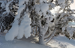 � ������ ��� �� ������� ���������� ����� �� ��������� ������� 