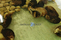 ������� ������� � ���������� ������ ���� ����������, ��� ������� ����� � ��������