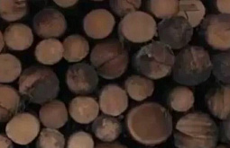 � ��������� ������� � �������������� ���� ������ 40 ��� ������