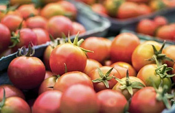 � ������� ��������� �������� �������� �� ���������� ��������� �������� 