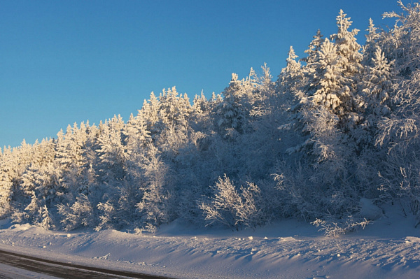 � ������� ��������� ����� �������� ��� ����������� ������