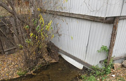 ������ �������� ����� �� ������� ����-��� �������� �����������