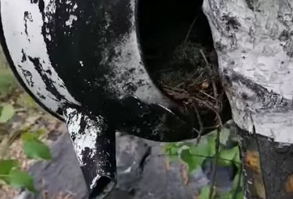 � ������� ����� ����� ������ � ������ ������� 