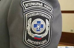 � ������� ��������� ������ �������� ����������