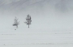 � ��������� ������� ������ � ������� �����