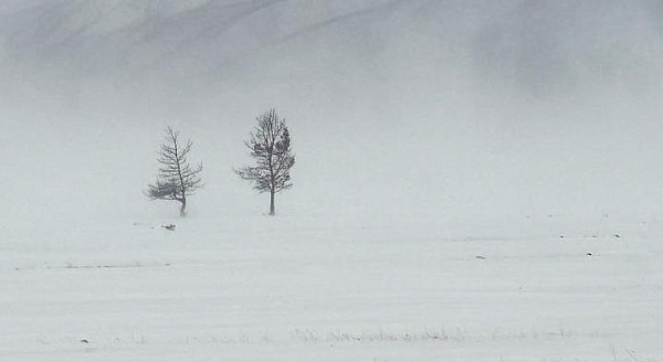 � ��������� ������� ������ � ������� �����