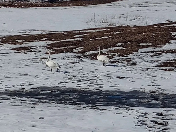 �� ����� ������� ��������� ������