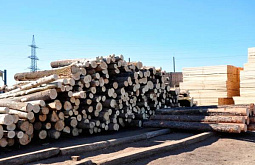 Забайкальская ОПГ скупала в Бурятии незаконно вырубленный лес 