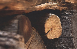 � �������������� � ������� ����� ���������� 