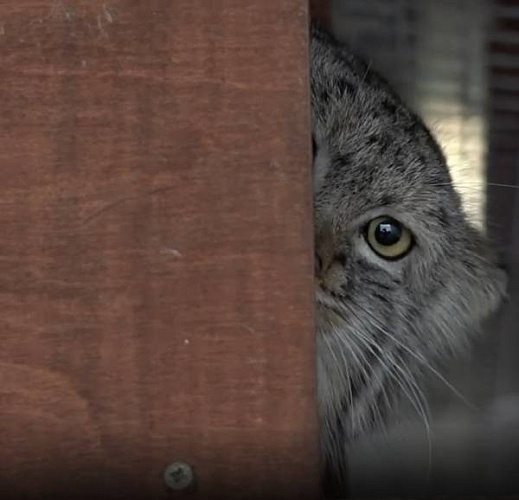 ������ �� ������� ���������� � ���������� ��������