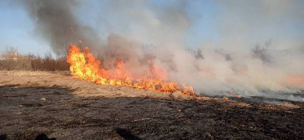 � ����-��� �������� ����� �� ������� ������������