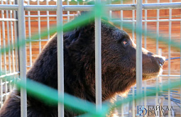 � ��������� � ����-��� �� ��������� �������� ��� ��������