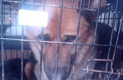 ����� ������� ������� ��� ��������� ��������� ����� � ������� 