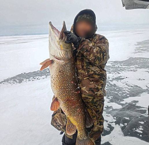 � ������� �������� �������� ����