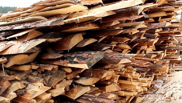 В Бурятии оштрафовали директора пункта приёма древесины 