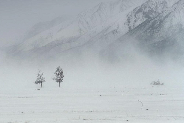 ������ � ��������� ������� ����� ������� ������� ��������� ������ � ������