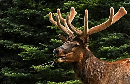 ����� ������� �������� ��������� � ������� 10 ���� �����