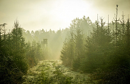 � ������� ���������� ����� ����� �� ������ � �����