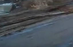 ��� � ��������: ������ ������ �������� �������� ������ ����� ������� 