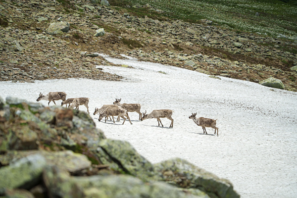 �������� ����� � ������� ������� ����������� ��������