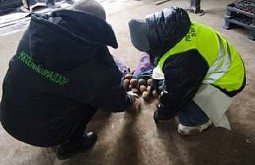 ����� ������� � �������� ��������� ����� 500 ���� ���������