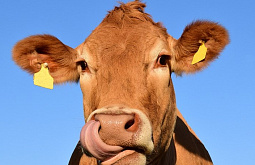 ���������������� ����� � ������� �������� ����� 